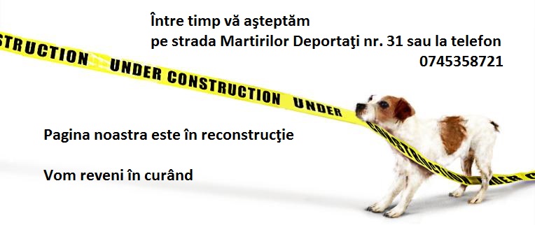 Samvet SRL Satu Mare